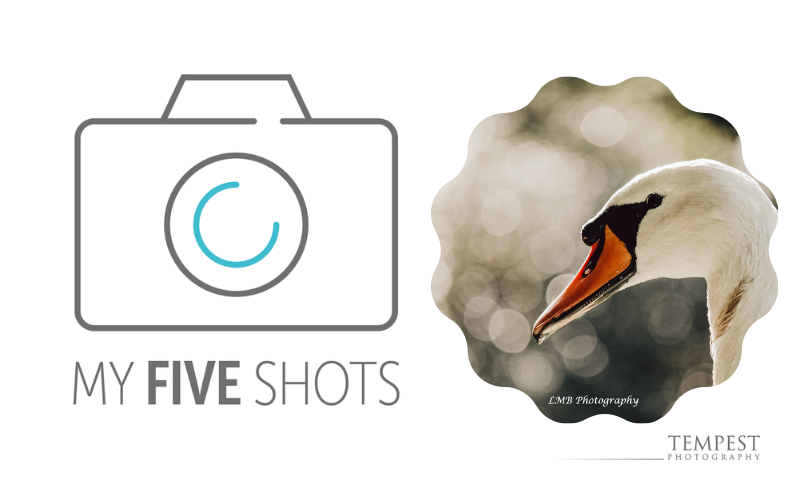 My Five Shots - Lisa Bowman